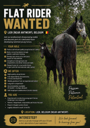 job img